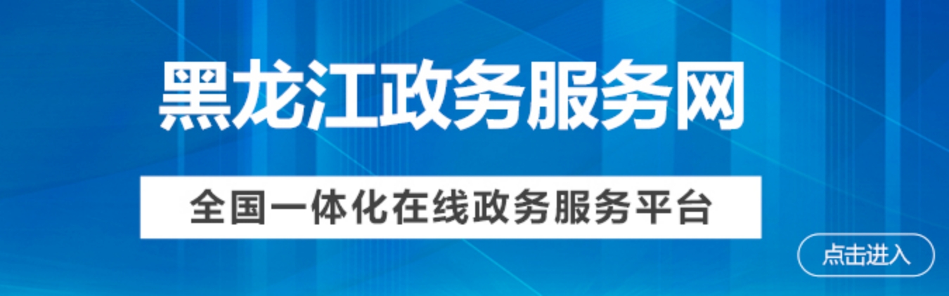 黑龍江政務服務網